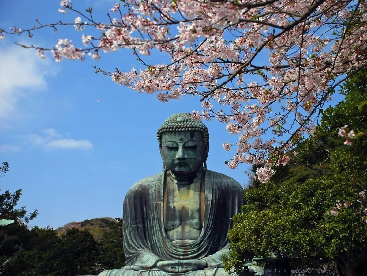Kamakura Cocon酒店 传统日式旅馆