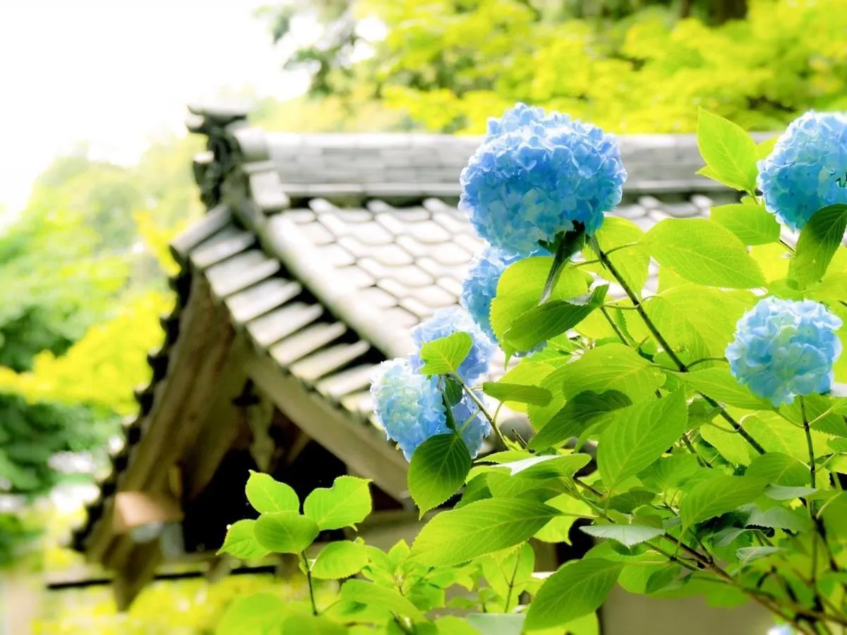 Kamakura Cocon酒店 传统日式旅馆